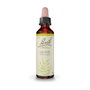 Bach Original Olive (Olivo) Nº23 20ml