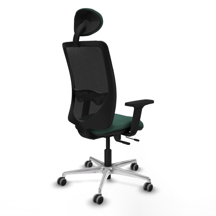 PIQUERAS Y CRESPO Silla de oficina Zulema con mecanismo Sincro/Traslack, Verde botella y Negro PIQUERAS Y CRESPO Silla de oficina Zulema con mecanismo Sincro/Traslack, Verde botella y Negro