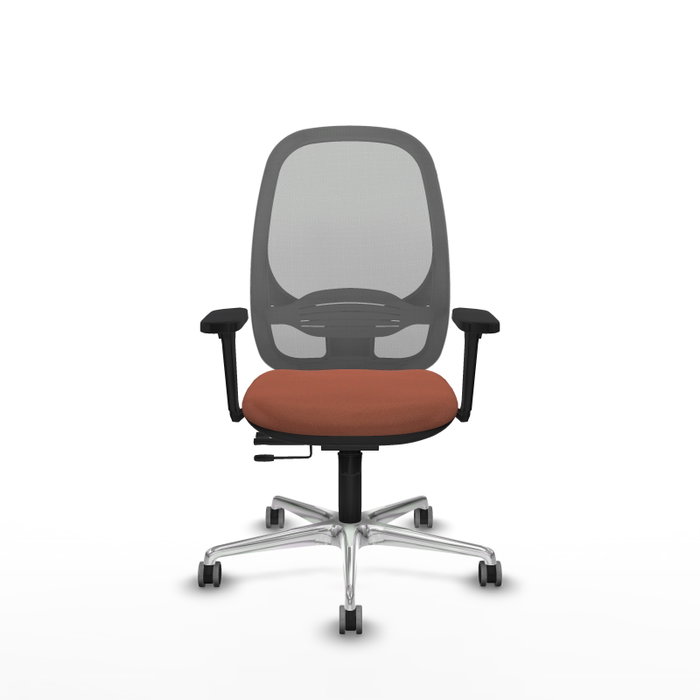 PIQUERAS Y CRESPO Silla de oficina Cilanco con mecanismo Sincro/Traslack, Marrón y Gris PIQUERAS Y CRESPO Silla de oficina Cilanco con mecanismo Sincro/Traslack, Marrón y Gris