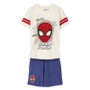 Conjunto de Ropa Spider-Man Azul Beige 5 Años