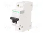 SCHNEIDER ELECTRIC Interruptor magnetotérmico C120N 80A 1P 10kA