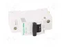 SCHNEIDER ELECTRIC Interruptor magnetotérmico C120N 80A 1P 10kA