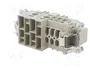 WIELAND Conector HDC macho de 10 pines (4+6) tamaño 16