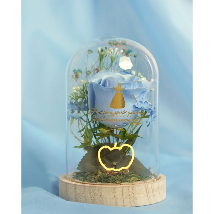 WIDDOP & CO Flor Campana Cenicienta Princesas Disney Luz Neón Madera