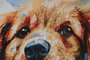 DKD Home Decor Cuadro Lienzo MDF 60x1,8x40 Perrito Lacado Surtido de 2