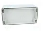 FIBOX EURONORD Carcasa Universal Gris 80x160x65mm