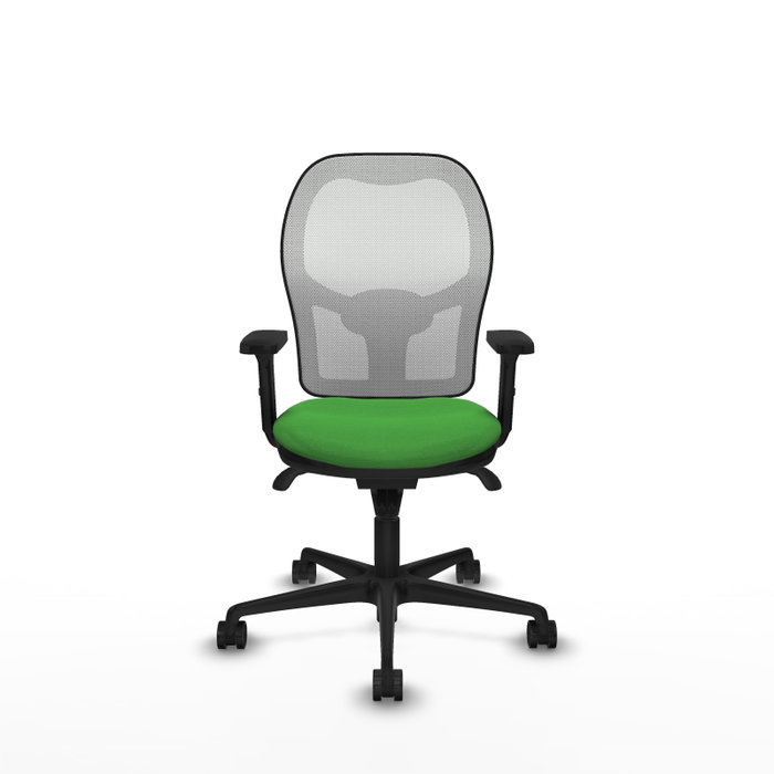 PIQUERAS Y CRESPO Silla de oficina Jorquera con mecanismo Sincro, Tela Verde y Malla Blanca PIQUERAS Y CRESPO Silla de oficina Jorquera con mecanismo Sincro, Tela Verde y Malla Blanca