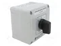 SPAMEL Interruptor de leva de 3 polos 16A L-0-P IP65