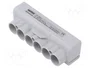 MOREK SLT50 Bloque de distribución de 6 pines, 1kV