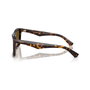 Burberry BE4434-300283 Gafas de sol marrones para hombre