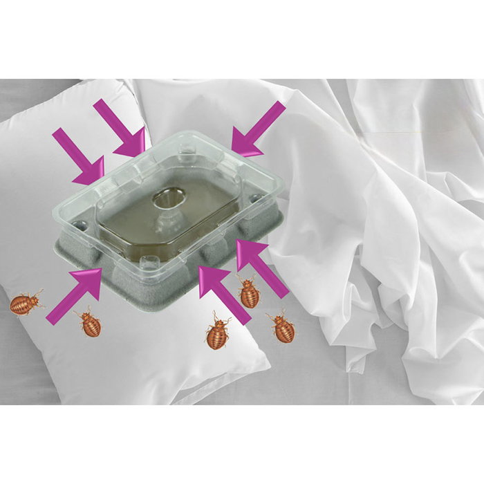 Weitech Trampa para chinches 4 unidades, detección y eliminación de infestaciones, para colchones, protege 15m²