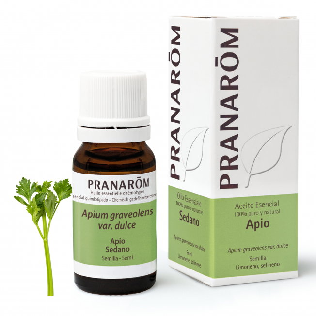 PRANAROM Aceite esencial de Apio 10 ml PRANAROM Aceite esencial de Apio 10 ml