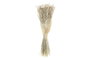 DKD Home Decor Ramo de Flores Secas Sola Beli Natural y Blanco