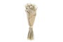 DKD Home Decor Ramo de Flores Secas Sola Beli Natural y Blanco