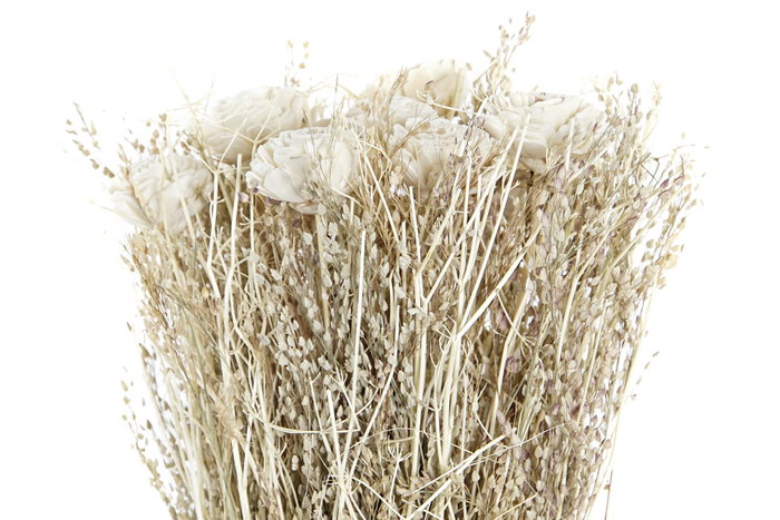 DKD Home Decor Ramo de Flores Secas Sola Beli Natural y Blanco
