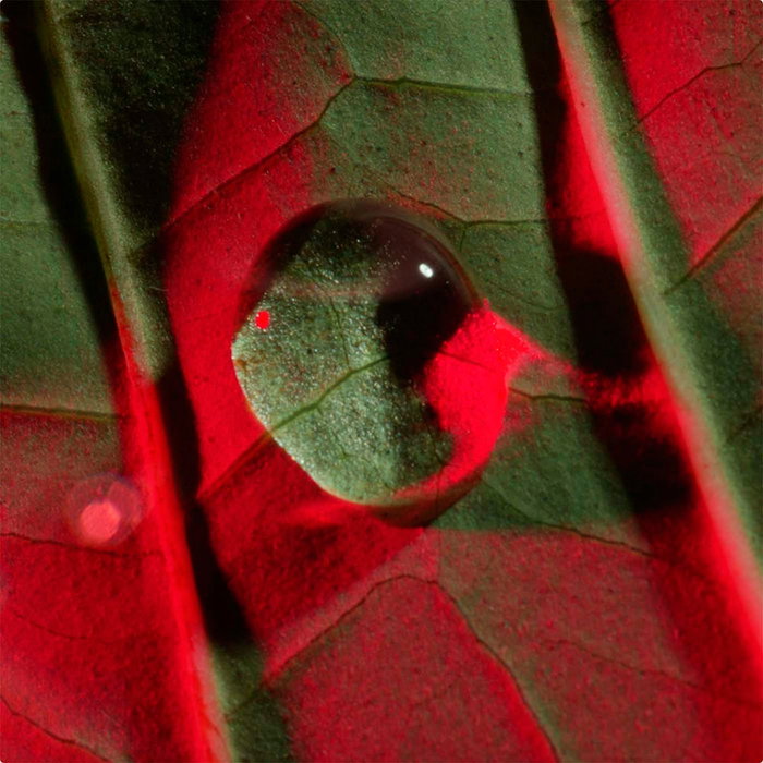 Clarins TOTAL EYE LIFT Tratamiento para Ojos 15 ml - Efecto Lifting Inmediato, Reduce Arrugas, Bolsas y Ojeras