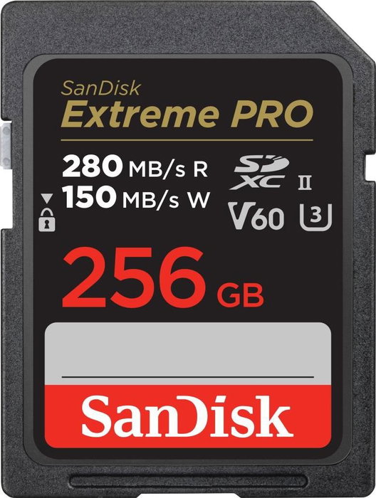 SanDisk SDSDXEP-256G-GN4IN Memoria Flash 256 GB SDXC UHS-II
