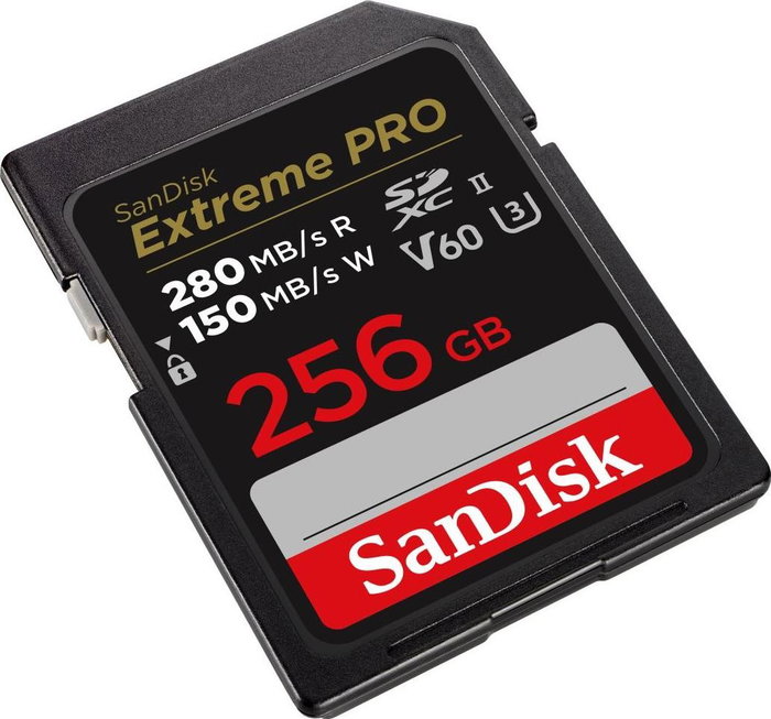 SanDisk SDSDXEP-256G-GN4IN Memoria Flash 256 GB SDXC UHS-II