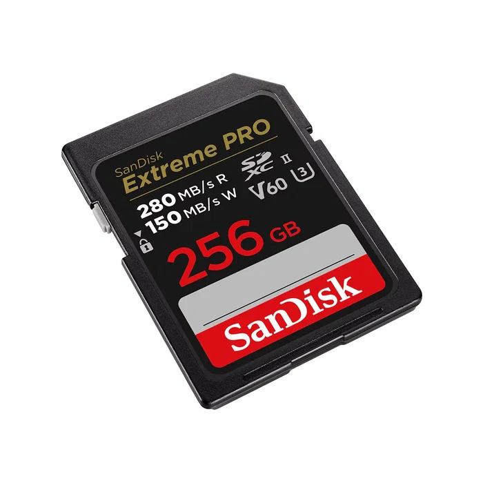 SanDisk SDSDXEP-256G-GN4IN Memoria Flash 256 GB SDXC UHS-II