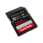 SanDisk SDSDXEP-256G-GN4IN Memoria Flash 256 GB SDXC UHS-II