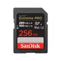 SanDisk SDSDXEP-256G-GN4IN Memoria Flash 256 GB SDXC UHS-II