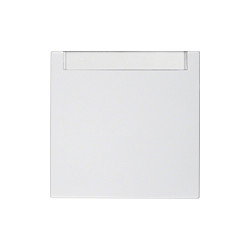 Berker 16268989 Wippe mit Beschriftungsfeld Blanco