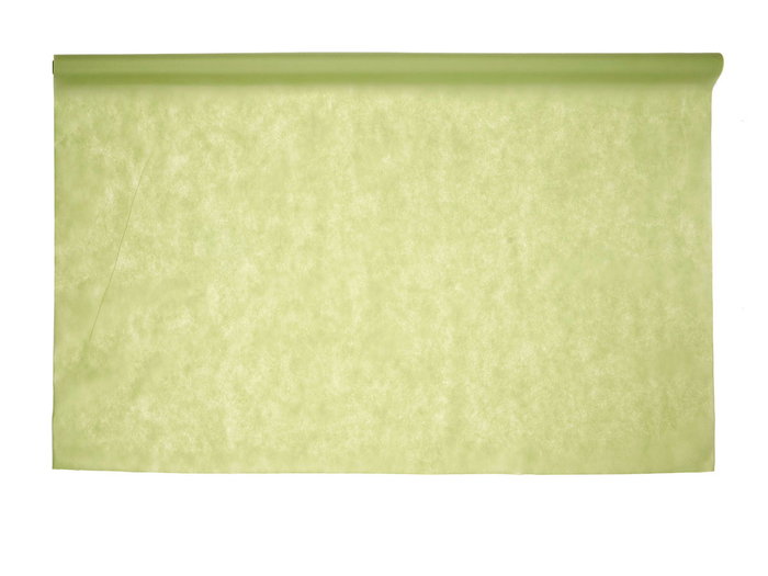 Kinvara Mantel Desechable 120x500 cm Tela No Tejida PP Color Verde (Set de 16)