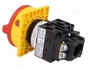 EATON ELECTRIC Interruptor de levas principal T0-2-1/EA/SVB 20A OFF-ON