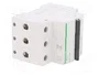 SCHNEIDER ELECTRIC Interruptor magnetotérmico ACTI9 K60N 25A 3 polos 6kA