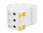 SCHNEIDER ELECTRIC Interruptor magnetotérmico ACTI9 K60N 25A 3 polos 6kA