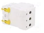 SCHNEIDER ELECTRIC Interruptor magnetotérmico ACTI9 K60N 25A 3 polos 6kA