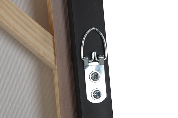 DKD Home Decor Cuadro PS Lienzo 123x4,5x83 Plumeros Surtido de 2