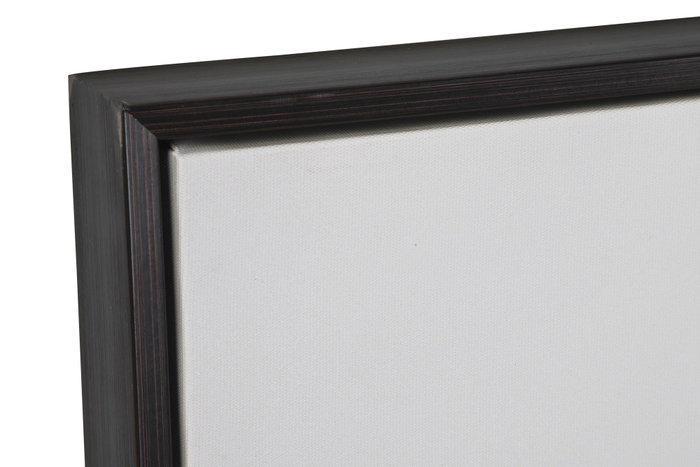 DKD Home Decor Cuadro PS Lienzo 123x4,5x83 Plumeros Surtido de 2