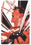 Panini España S.A. All in Superman 01