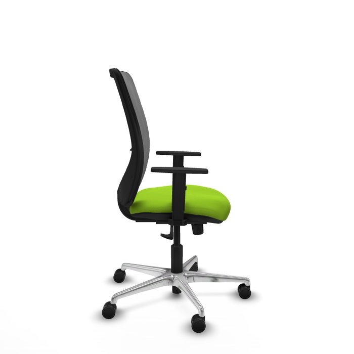 PIQUERAS Y CRESPO Silla de oficina Zulema con mecanismo Sincro, Pistacho y Gris PIQUERAS Y CRESPO Silla de oficina Zulema con mecanismo Sincro, Pistacho y Gris