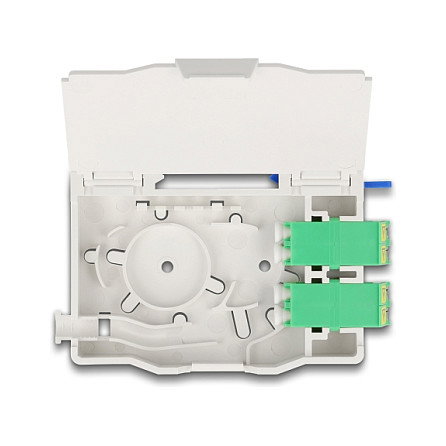 DeLOCK 85936 Caja de conexión de fibra óptica para carril DIN con 2 x LC Duplex