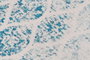 DKD Home Decor Alfombra Árabe Atusa Azul 240 x 60 cm Chenilla y Algodón