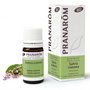 PRANAROM Aceite esencial de Salvia romana BIO 5ml