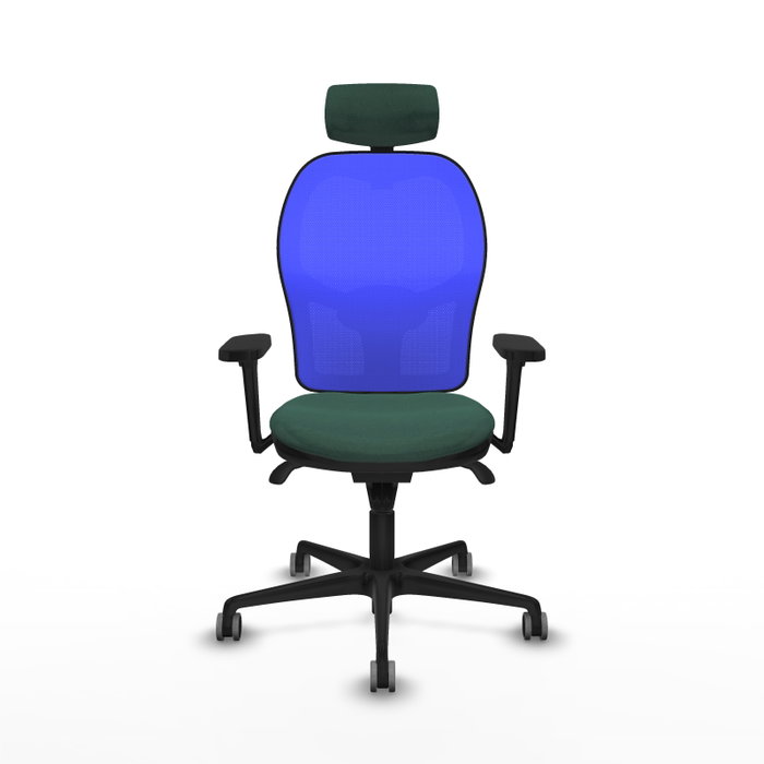 PIQUERAS Y CRESPO Silla de oficina Jorquera con mecanismo Sincro, Tela Verde botella y Malla Azul PIQUERAS Y CRESPO Silla de oficina Jorquera con mecanismo Sincro, Tela Verde botella y Malla Azul