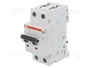 ABB Interruptor magnetotérmico S200 2 polos 40A 6kA