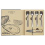 Cook Concept Table En Fête Kit 5 Piezas Para Ostras: Cuchillo y 5 Tenedores en Caja Elegante