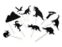 Mideer Títeres de Sombras de Dinosaurios Juego Didáctico 12 Piezas para Niños