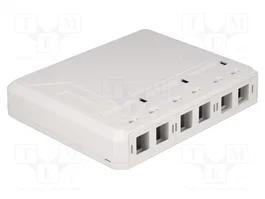 DeLOCK Caja de montaje en superficie Keystone 6 Puertos blanco