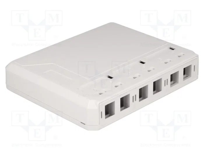 DeLOCK Caja de montaje en superficie Keystone 6 Puertos blanco