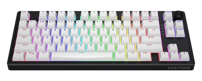 Hator Skyfall 65 MAG ULTRA 8K Teclado Mecánico Magnético Gaming Negro y Blanco, Layout Polaco, USB