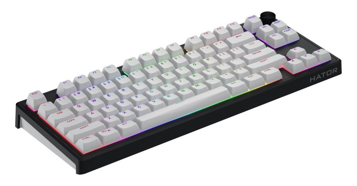 Hator Skyfall 65 MAG ULTRA 8K Teclado Mecánico Magnético Gaming Negro y Blanco, Layout Polaco, USB