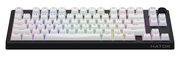 Hator Skyfall 65 MAG ULTRA 8K Teclado Mecánico Magnético Gaming Negro y Blanco, Layout Polaco, USB