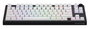 Hator Skyfall 65 MAG ULTRA 8K Teclado Mecánico Magnético Gaming Negro y Blanco, Layout Polaco, USB