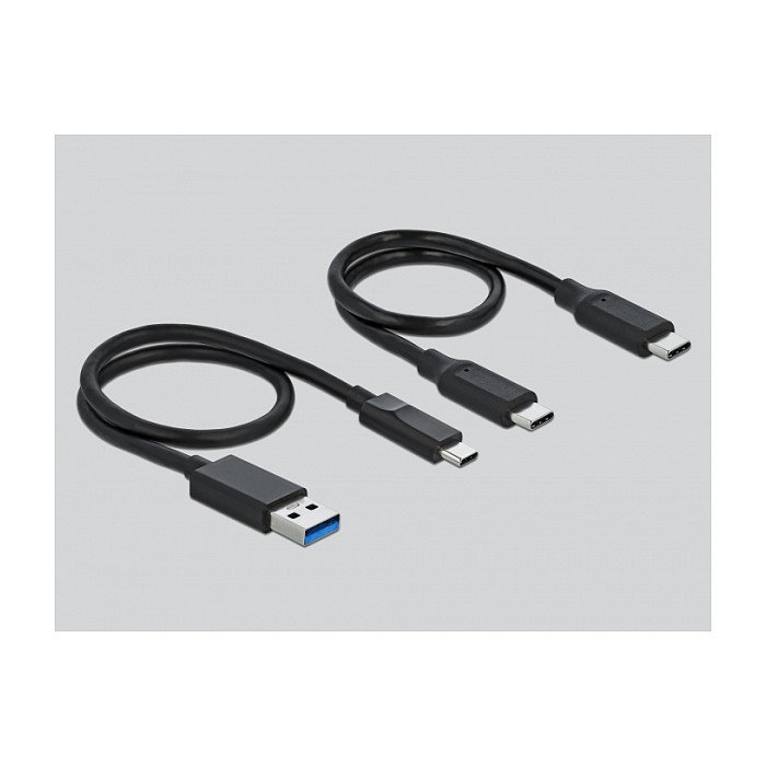 DeLOCK Lector de tarjetas CFast y SD con concentrador USB Tipo-A y Tipo-C, Gris