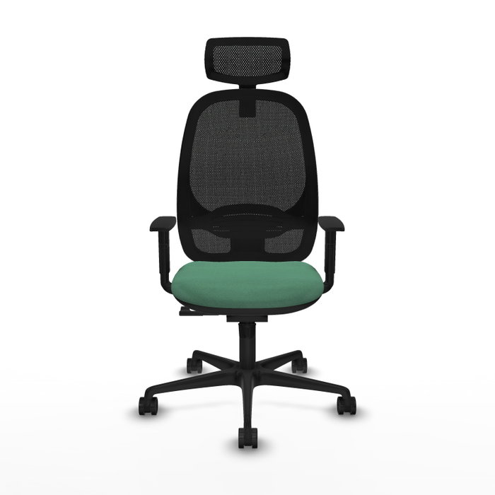 PIQUERAS Y CRESPO Silla de oficina Cilanco con mecanismo Sincro, Verde esmeralda y Negro PIQUERAS Y CRESPO Silla de oficina Cilanco con mecanismo Sincro, Verde esmeralda y Negro